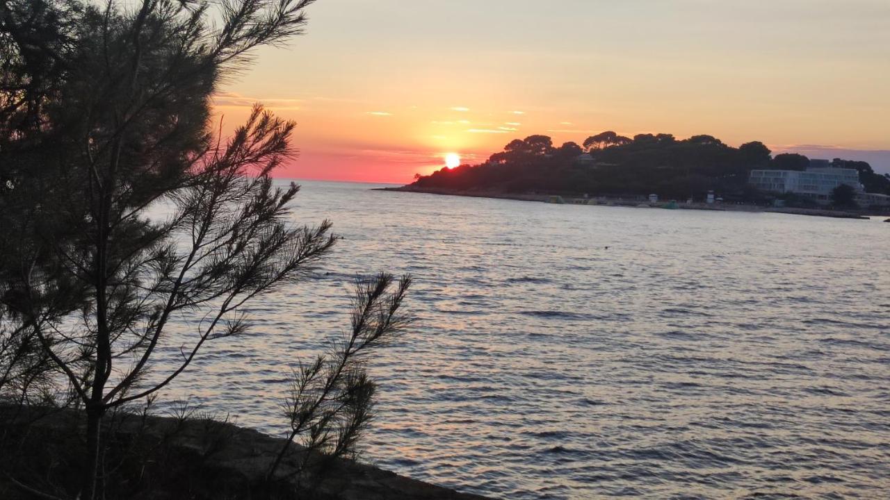 Parenzo Premium Apartment Porec Bagian luar foto